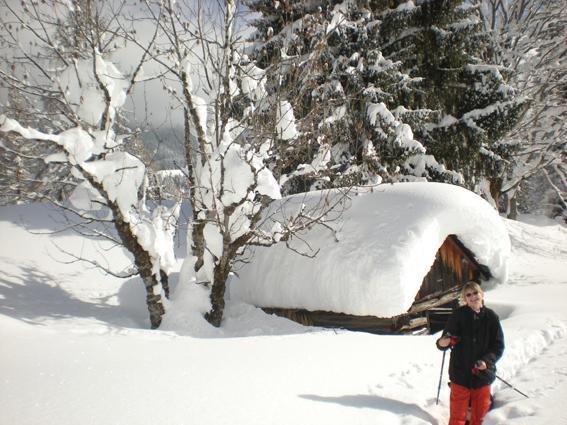 Appartment Laerchenalm ザンクト・マルティン・アム・テンネンゲビルゲ エクステリア 写真