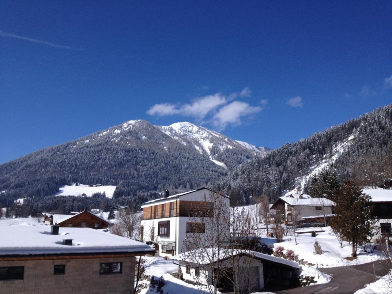 Appartment Laerchenalm ザンクト・マルティン・アム・テンネンゲビルゲ エクステリア 写真